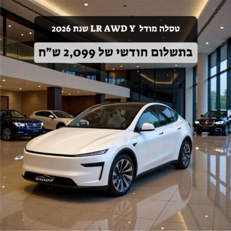 ����MODEL Y