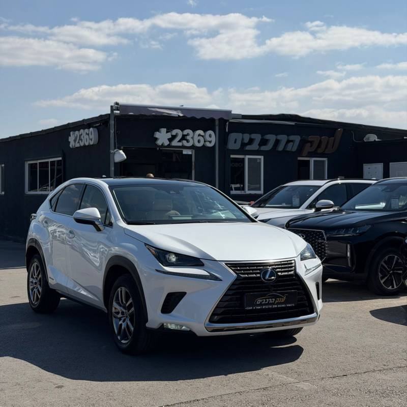 �����NX300H