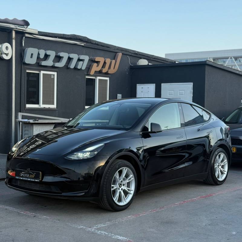 MODEL Y