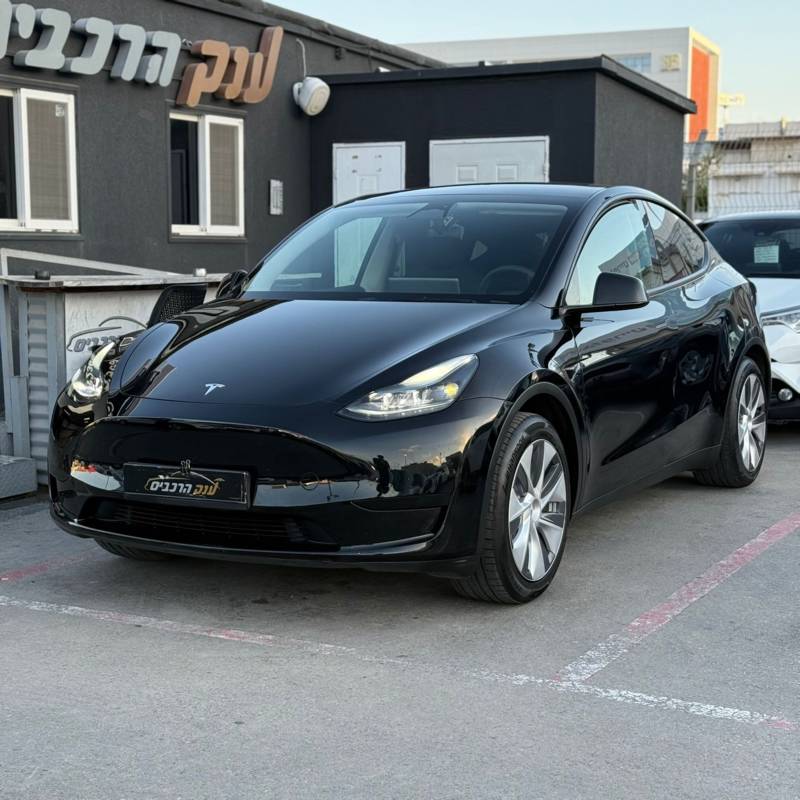 MODEL Y