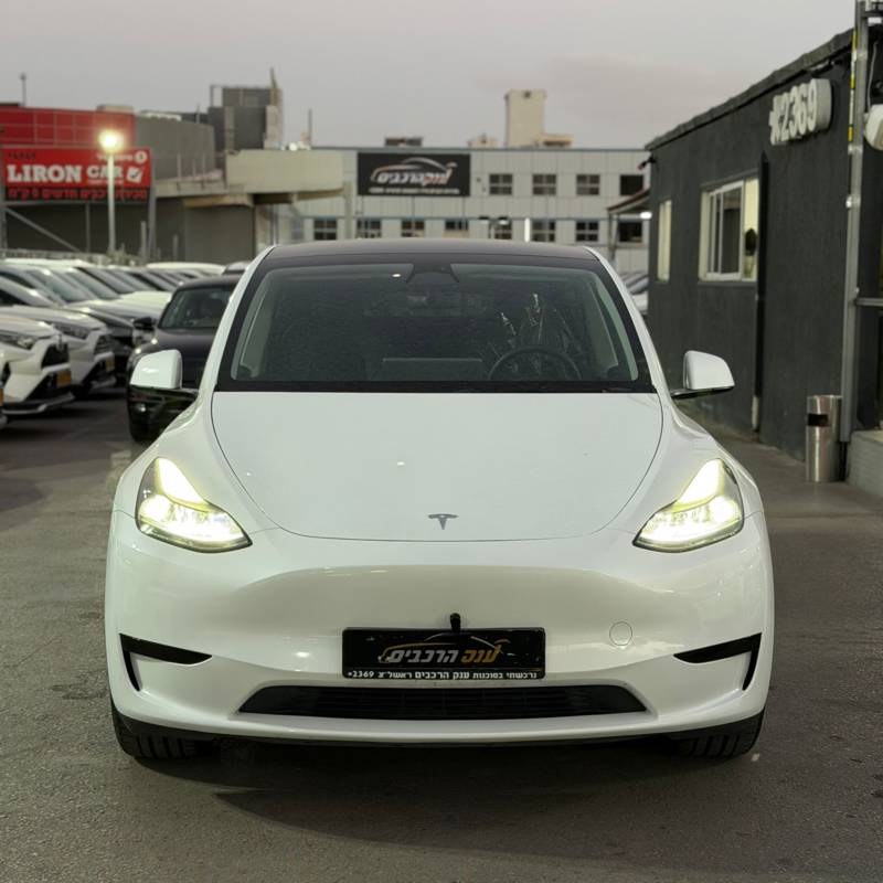 ���� MODEL Y - ����� 2