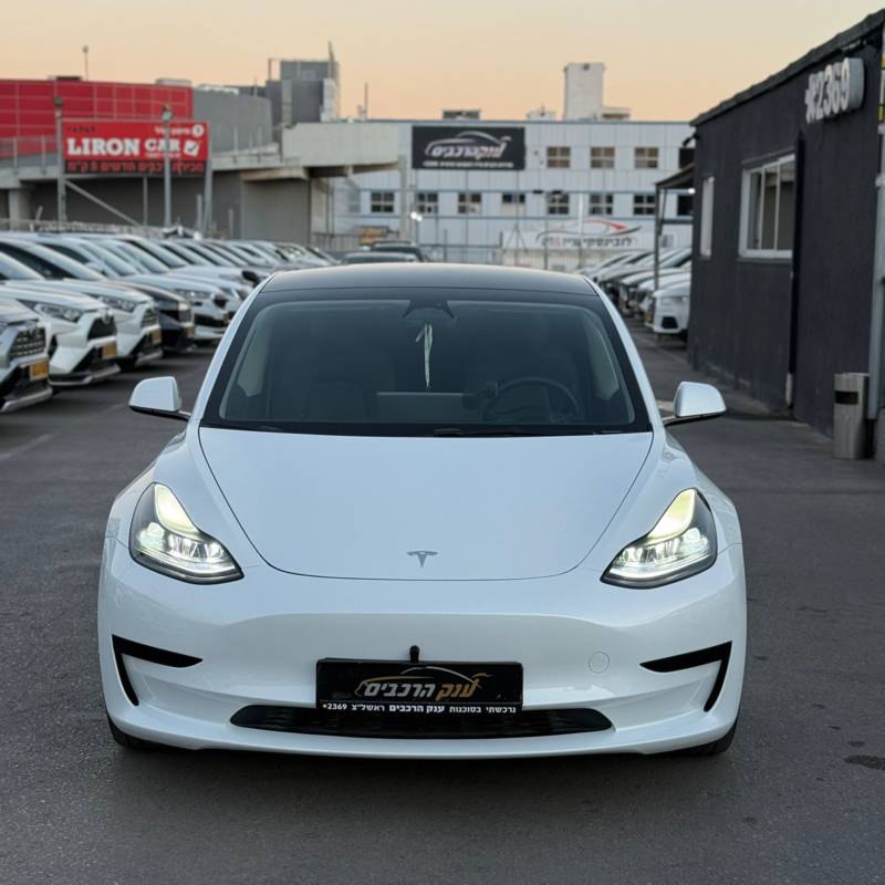  MODEL 3 -  2
