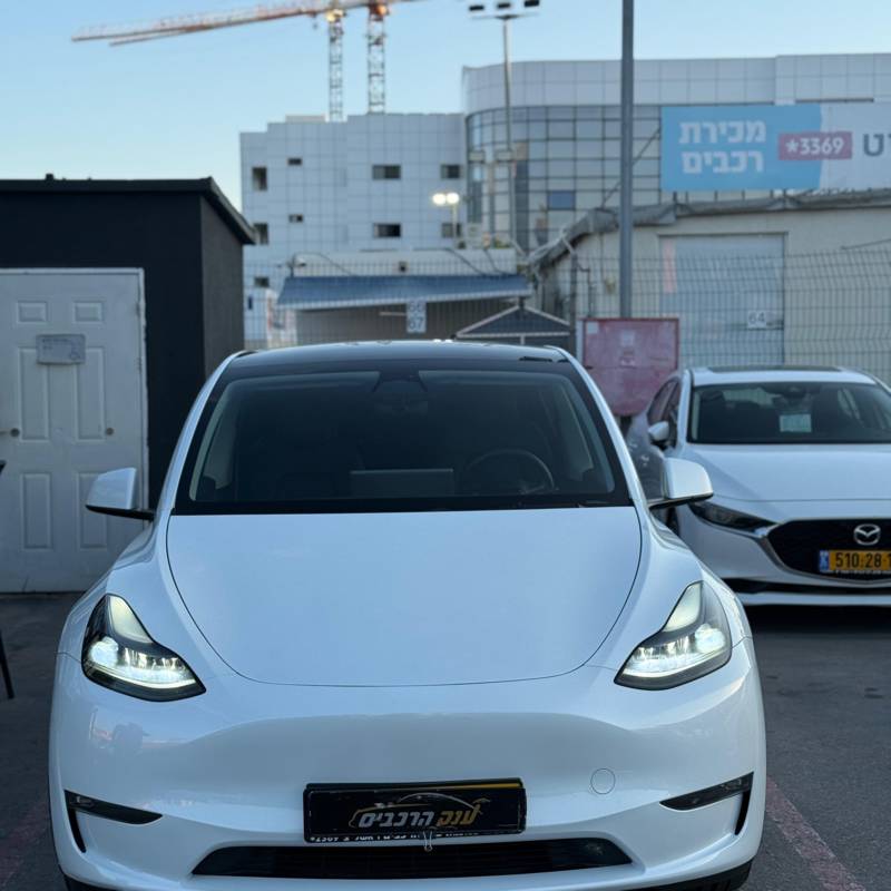  MODEL Y -  3