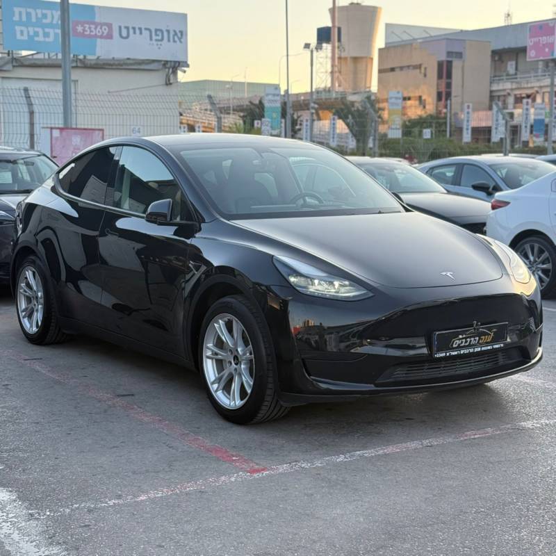  MODEL Y -  3