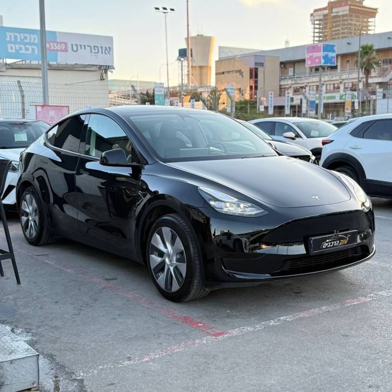  MODEL Y -  3