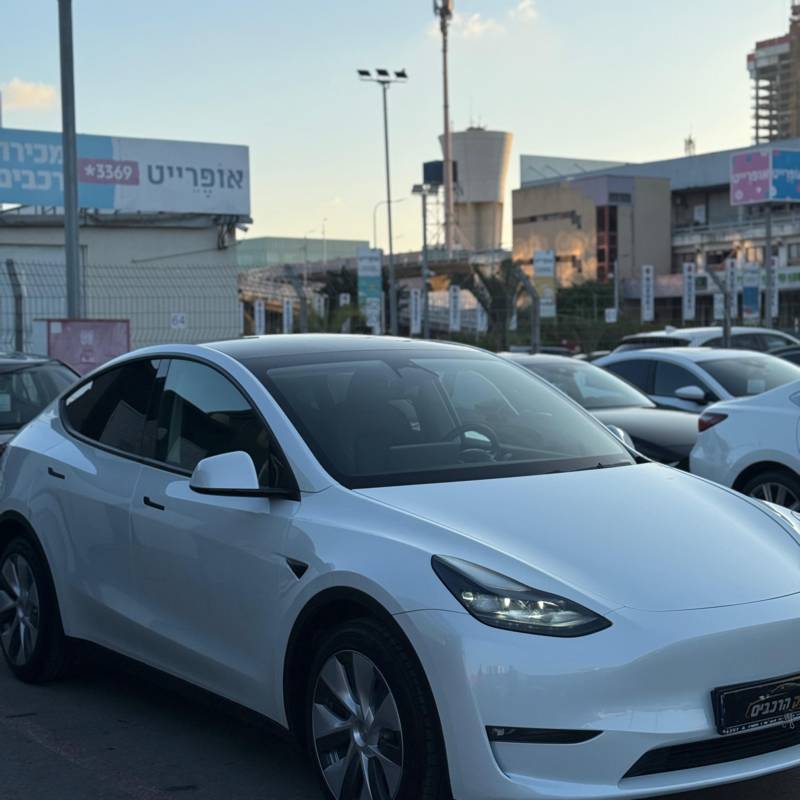  MODEL Y -  4
