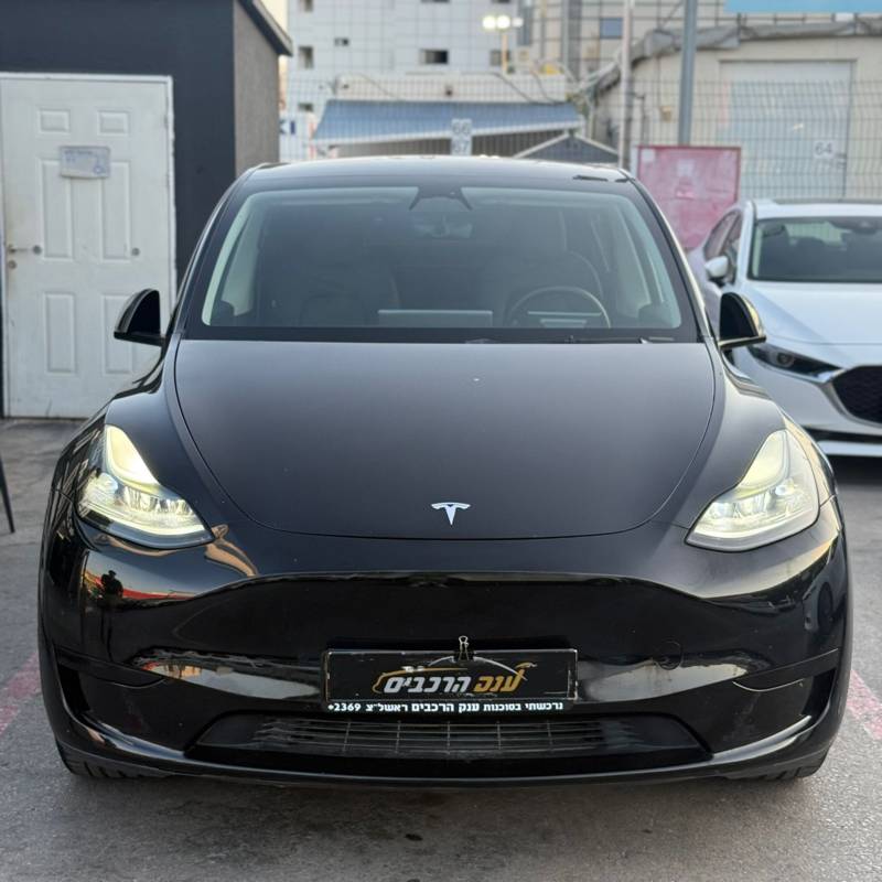  MODEL Y -  4