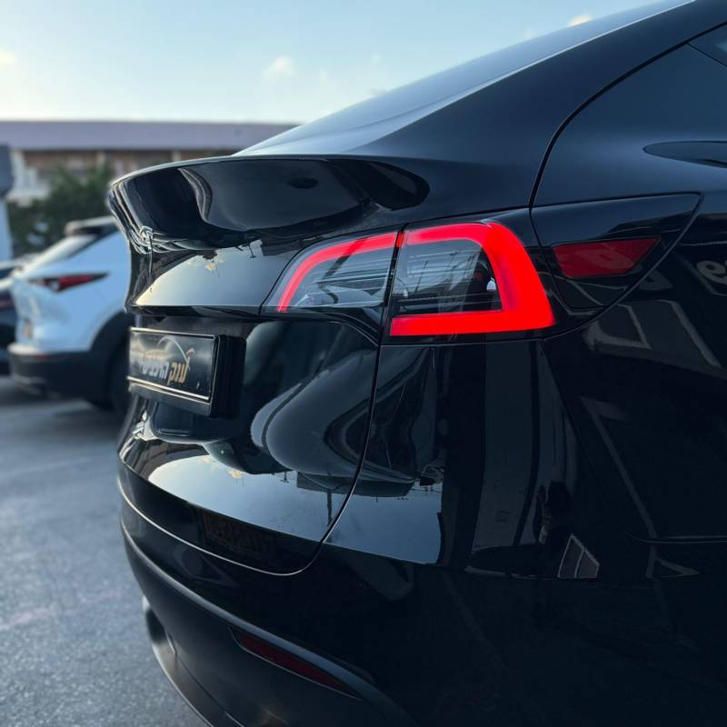 MODEL Y -  6