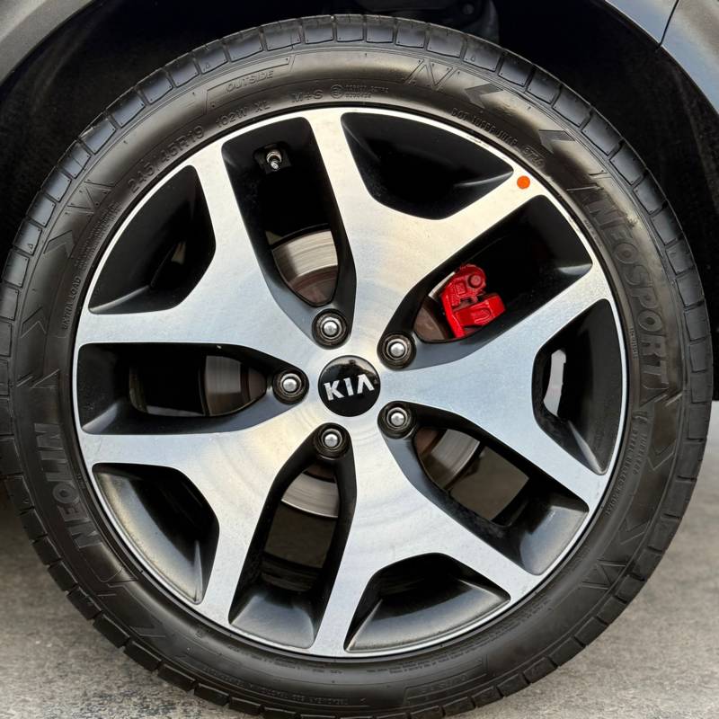  SPORTAGE -  7