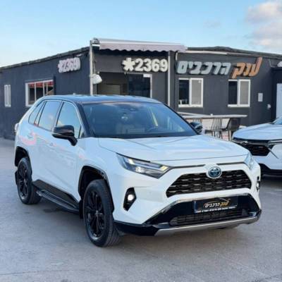 ������&nbsp;RAV 4 HYBRID