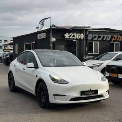 ����&nbsp;MODEL Y