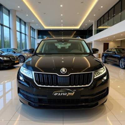 ����� KODIAQ - ����� 2